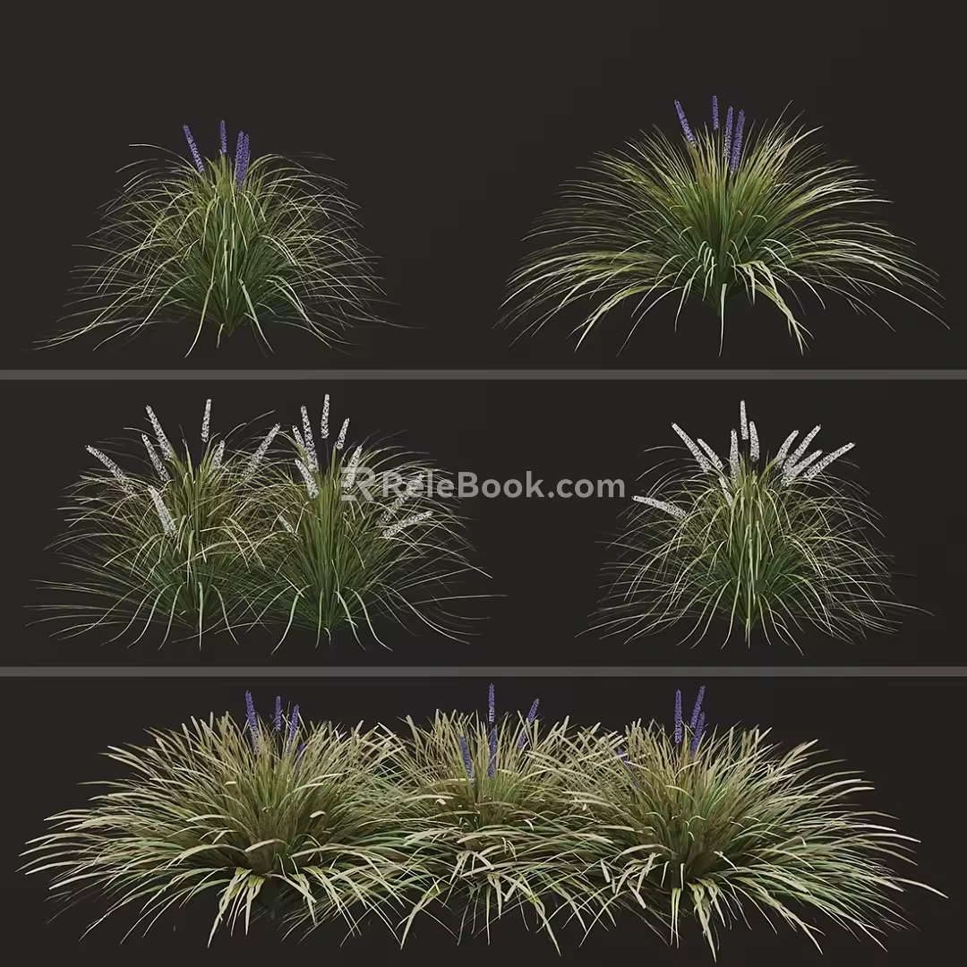 dwarf lily grass flowers 3d model