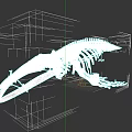 Aquatic Animal Skeleton Complete Anatomical Structure Marine Life Specimen 3d model