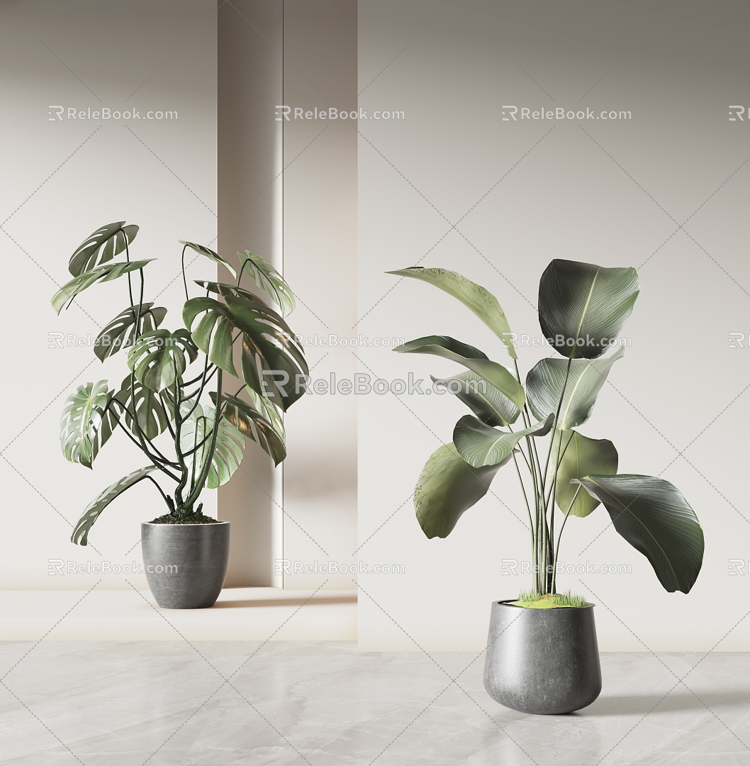 modern potted plant potted plant 3d model