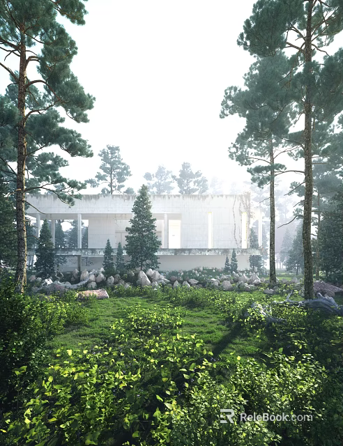 Serene Misty Pine Forest Landscape With Modern White Building Amid Lush Green Grass And Stones 3d model 