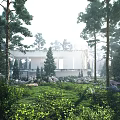 Serene Misty Pine Forest Landscape With Modern White Building Amid Lush Green Grass And Stones