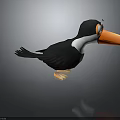 Cartoon Style Toucan with Black Body White Neck and Orange Beak
