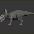 Baby Dinosaur with Large Frill Small Horns Open Mouth Gray Skin on Dark Reflective Surface
