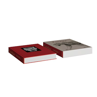 Two Hardcover Books With Red And Gray Covers Featuring Illustrations And Titles 3d model