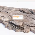 Natural Stone and Wood Material Combination with Rustic Texture for Interior Decor 3d model