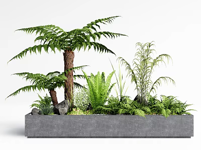 Lush Ferns and Green Plants with Rocks in Concrete Planter for Garden Decor 3d model