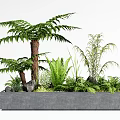 Lush Ferns and Green Plants with Rocks in Concrete Planter for Garden Decor