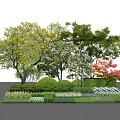 Colorful Foliage Trees With Green Yellow Red Leaves And Shrubs In Garden Landscape