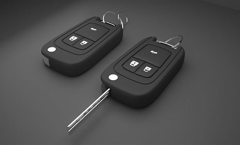 Modern Car Keys 3d model