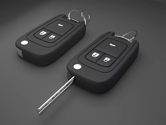 Modern Car Keys 3d model