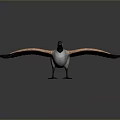 Wild Goose With Orange Brown Wings Spreading Feathers On Smooth Reflective Surface 3d model