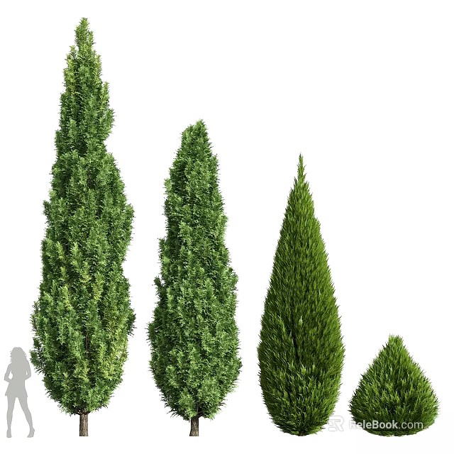 Decorative Plant Ornament Set With Various Heights Green Trees For Home Decor 3d model 