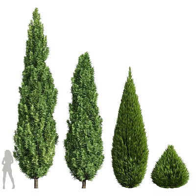 Decorative Plant Ornament Set With Various Heights Green Trees For Home Decor 3d model