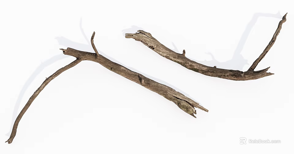 Natural Stone Wood Branches with Dried Texture and Rustic Shape on White Background 3d model