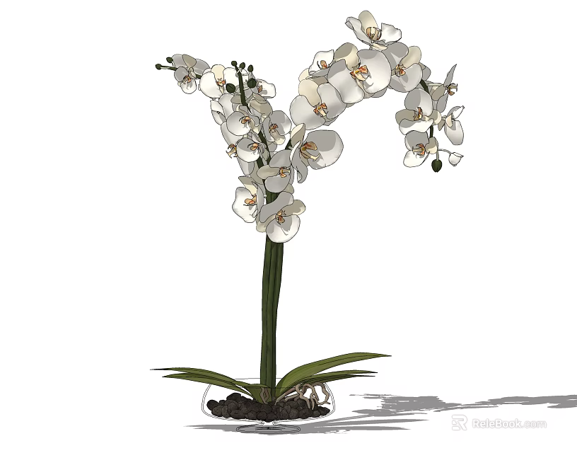 Bonsai Orchid Potted Plant With White Flowers Curved Stem And Green Leaves 3d model 