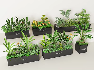 Various Green And Flowering Plants Arranged In Black Planters For Home Decor 3d model