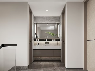 Modern Entryway Interior Design With Mirror Counter Sink Green Plant And Tile Floor 3d model