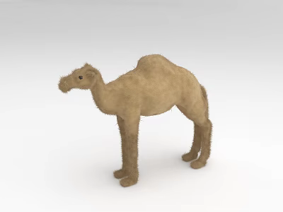 Camel Stuffed Toy With Plush Texture Standing Pose And Natural Color 3d model
