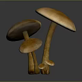 Natural Brown Mushrooms In Various Sizes With Round Caps And Long Stems