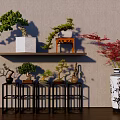 Bonsai Potted Plants On Wooden Shelves And Black Stands With Curved Shapes And Red Leaves