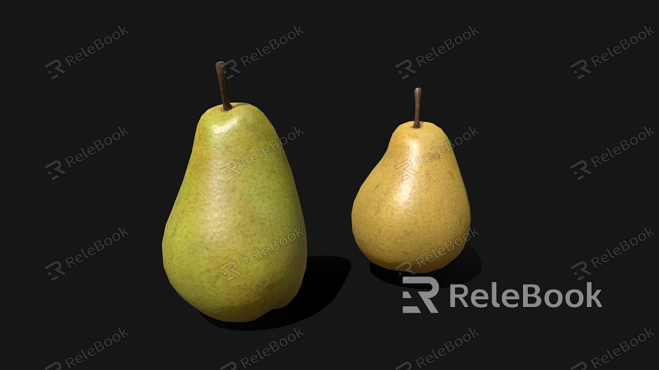 pear fruit pear model