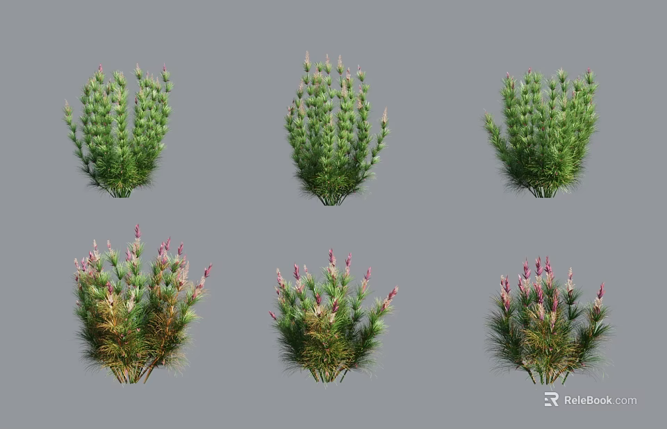 Different Varieties of Green Leafy Plants With Pink Flower Buds 3d model 