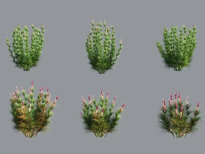 Different Varieties of Green Leafy Plants With Pink Flower Buds 3d model