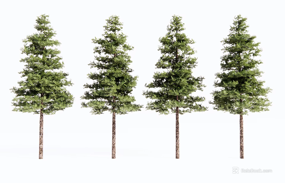 Four Green Arbor Trees With Straight Trunks And Lush Foliage 3d model 
