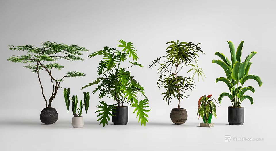 Various Green Potted Plants With Different Leaf Shapes And Decorative Pots 3d model 