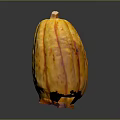 Fresh Yellow Pumpkin with Orange Spots and Long Shape on Black Background with Bottom Reflection