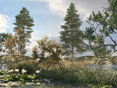 Beautiful Water Lilies And Lotus Flowers In Natural Pond With Green Grass And Bushes 3d model