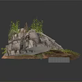 Modern Landscape Design Featuring Rocks Moss And Small Green Plants Arrangement