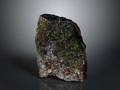 Unique Natural Rustic Stone Featuring Green Moss And Textured Organic Surface 3d model