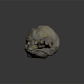 Game Movie Character Stone Like Floating Creature With Eyes Arms And Rough Grayish Brown Surface