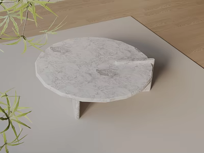 Modern Sofa Coffee Table Set With Round Marble Top Wooden Floor And Green Plants 3d model