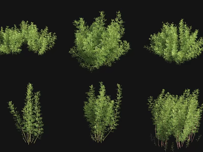 Green Shrubs In Various Forms For Landscape Design And Garden Decoration 3d model