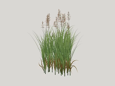 Modern Garden Courtyard Shrubs Landscape Trees 3d model