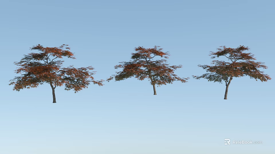 Three Arbor Trees With Reddish Brown Leaves Standing Against Blue Sky Background 3d model 