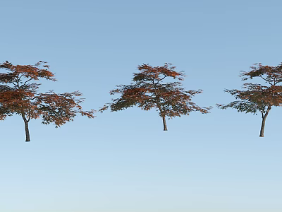 Three Arbor Trees With Reddish Brown Leaves Standing Against Blue Sky Background 3d model