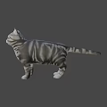 Gray Striped Cat Standing On Light Pink Background With Realistic Features 3d model