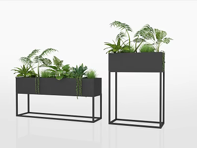 Stylish Black Metal Frame Rectangular Planters on Elevated Stands with Lush Green Ferns 3d model