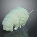 Detailed 3D Tardigrade Creature Character Featuring Light Green Segmented Body Legs And Tail Structure