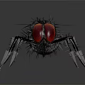 Fly with red compound eyes black body and transparent wings on reflective surface