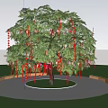 Lush Green Arbor With Red Hanging Decorations And Person Under Blue Sky