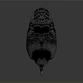Realistic Black Crow with Detailed Feathers Sharp Claws and Shiny Eyes isolated on Gray Background