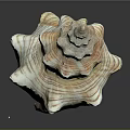 Modern Conch Bone Snail Field Snail 3d model