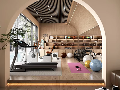 Home Gym Interior Featuring Fitness Equipment And Arch Design 3d model