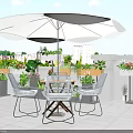 Roof Terrace Garden Landscape With White Umbrella Table Chairs And Colorful Potted Plants