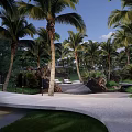 Tropical Modern Residential Landscape with Palm Trees White Stone Walkway Greenery and Rock Decorations