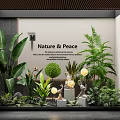 Serene Natural Indoor Landscape Interior Design With Lush Green Plants And Decorative Elements